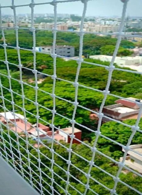 Anti-pigeon netting Delhi
